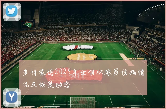 多特蒙德2025年世俱杯球员伤病情况及恢复动态