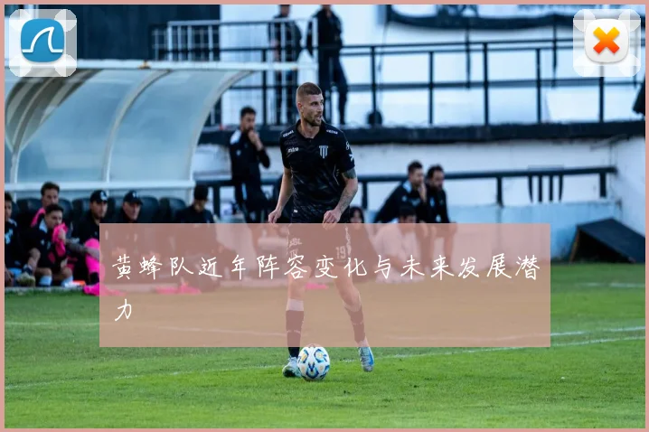 黄蜂队近年阵容变化与未来发展潜力