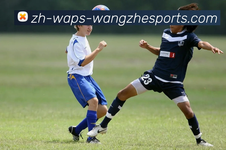 多媒体互动体验